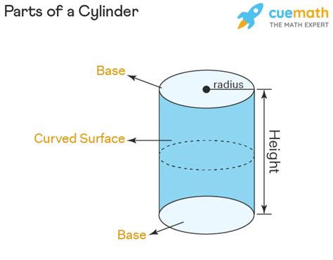 Surface Area of a Cylinder - Formula, TSA and CSA