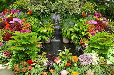 Tropical Garden with Colorful Flowers jigsaw puzzle in Waterfalls ...