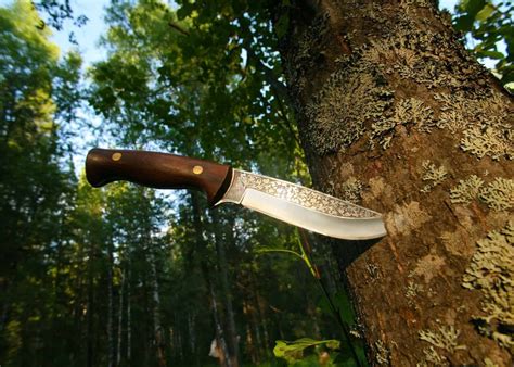 Best Bushcraft Knife in 2024 (REVIEW GUIDE)