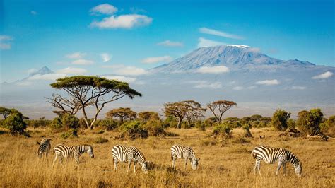 Kilimanjaro 4K Wallpapers - Top Free Kilimanjaro 4K Backgrounds - WallpaperAccess