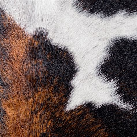 Cowhide Leather Area Rug · Black & White by Capra Leather