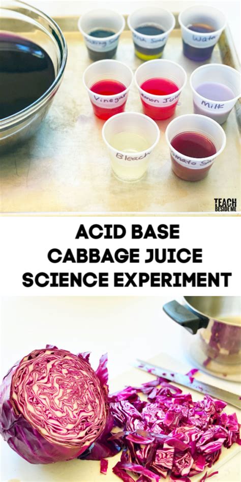 Acid Base Cabbage Juice Science Experiment - Teach Beside Me