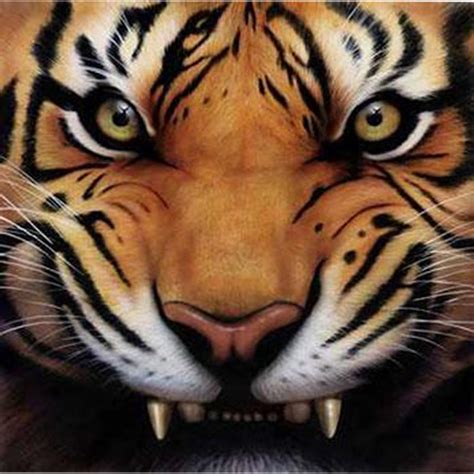 DREAM WALLPAPER: Eye of the Tiger