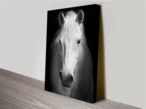 Horse Photography Prints Australia