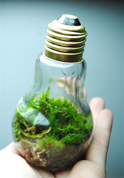 21 Brilliant Ideas On How To Recycle Light Bulbs