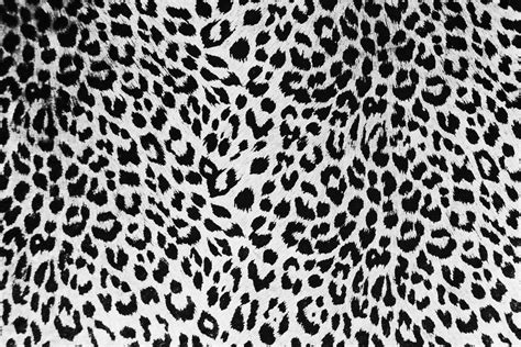 Black Leopard Backgrounds - Wallpaper Cave