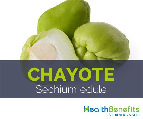 Chayote Facts, Health Benefits and Nutritional Value