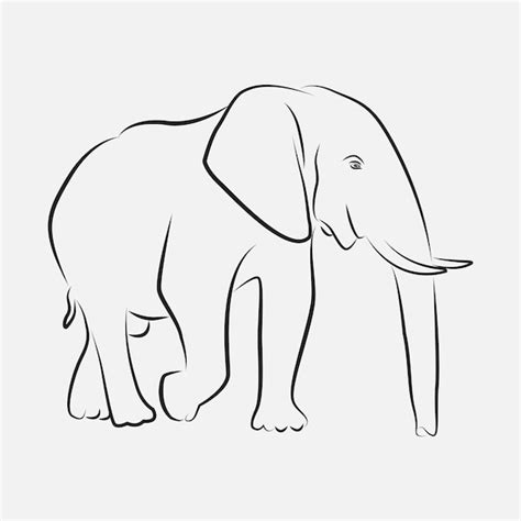 Premium Vector | Elephant line art vector template