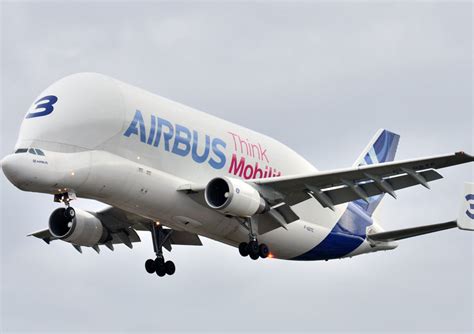 Airbus - Beluga A300-600ST - Aviaexpo.com