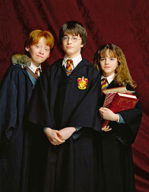 Portrait of Ron Weasley, Harry Potter and Hermione Granger — Harry Potter Fan Zone