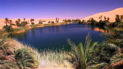 Desert Oasis Wallpapers - Wallpaper Cave