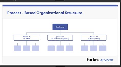 7 Organizational Structure Types (With Examples) – Forbes Advisor