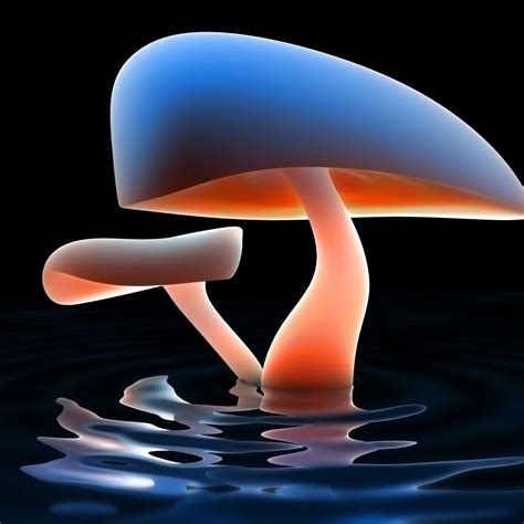 🔥 [40+] Neon Mushroom Wallpapers | WallpaperSafari