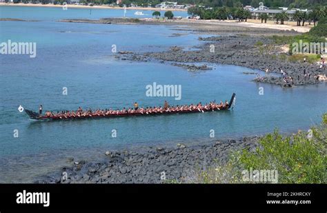 Maori waka ceremonial war canoe Stock Videos & Footage - HD and 4K Video Clips - Alamy