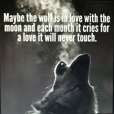 Alpha Wolf Quotes. QuotesGram