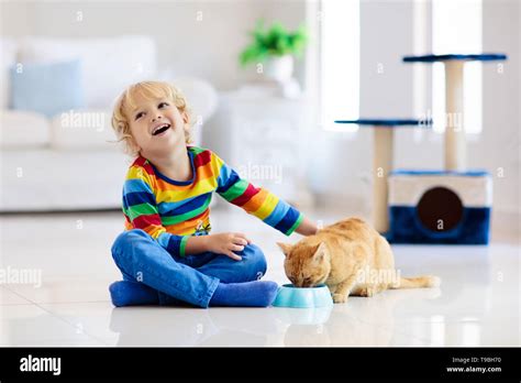 Child playing with cat at home. Kids and pets. Little boy feeding and petting cute ginger color ...