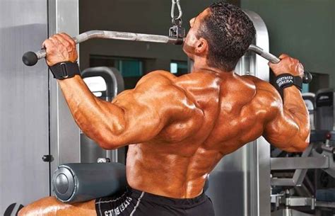 Wide Grip Lat Pulldown Exercise • Bodybuilding Wizard