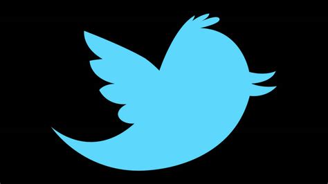 new twitter bird vector by eagl0r on DeviantArt