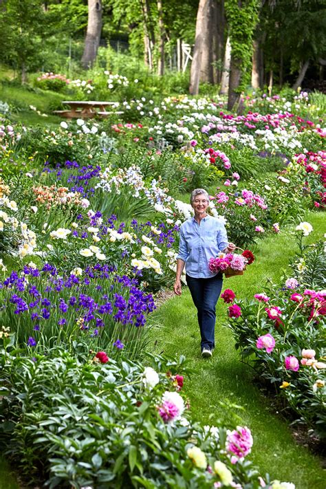 This Midwestern Peony Garden Is Filled with Thousands of Blossoms