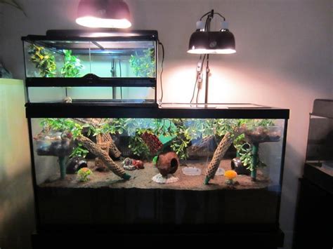 Hermit Crab Tank Decor Ideas : Hermit Habitat Crabs Crabitat Aquariums ...