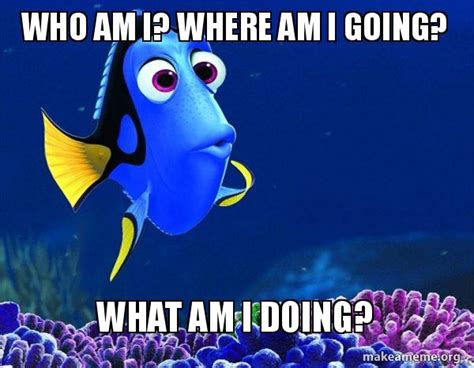 Who Am I? Where Am I Going? What Am I Doing? - Dory from Nemo (5 second memory) Meme Generator