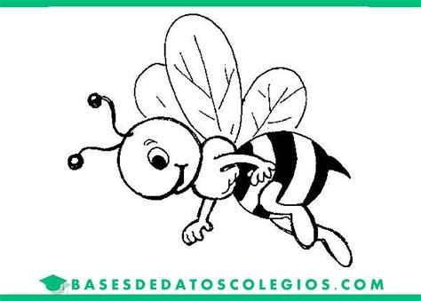 Fichas Imprimibles Para Colorear De Abejas Infantiles