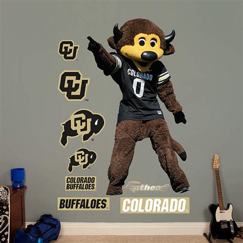 Colorado Mascot - Chip Wall Decal | Shop Fathead® for Colorado Buffaloes Decor