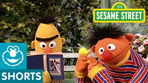 Sesame Street Do De Rubber Duck With Ernie