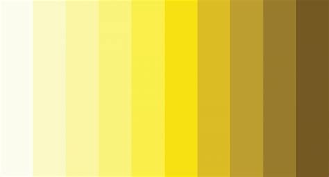 Yellow Skin Color Palette