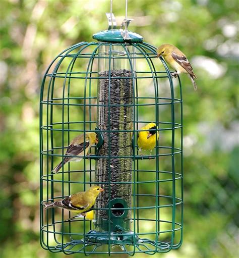 6 BEST Squirrel-Proof Bird Feeders [That Work in 2022] - Bird Watching HQ