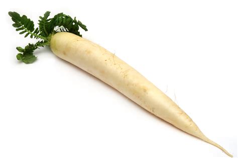 Health Benefits of the Daikon Radish