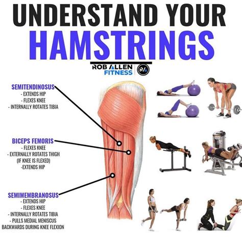 Hamstrings Workout: Improve Hamstring Strength And Definition ...