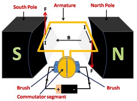 Draw A Neat Labelled Diagram Of Simple Electric Motor | Porn Sex Picture