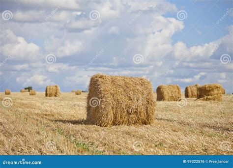 Harvest Landscape with Straw Bales Amongst Fields in Autumn Stock Photo - Image of blue, natural ...