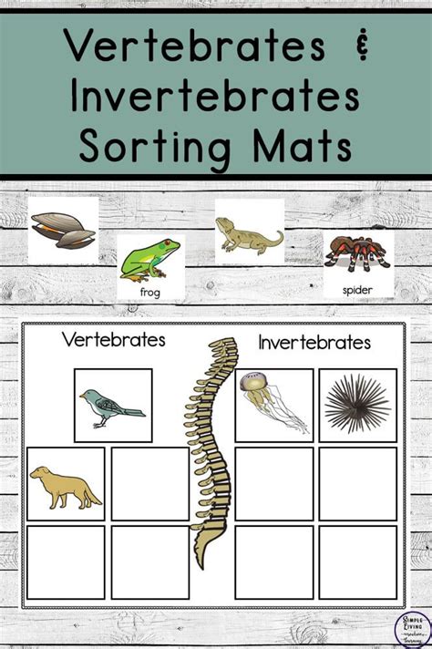 Vertebrates And Invertebrates Activity Sheets