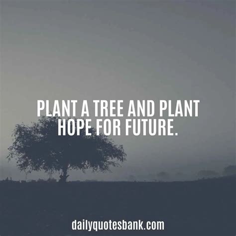 100 Inspirational Quotes About Planting Trees For Future Generations