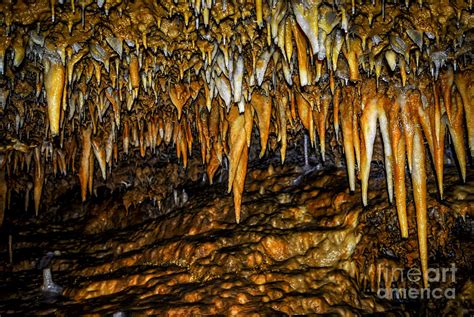 Cave rock formations Photograph by Elena Elisseeva