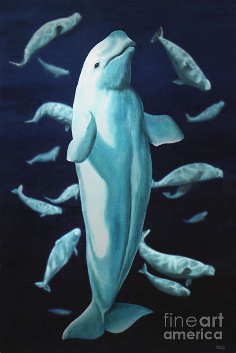 Beluga Whale Painting at PaintingValley.com | Explore collection of ...