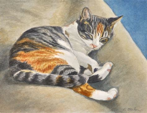 Calico Cat Art Print Calico Tabby Cat Watercolor Orange - Etsy