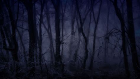 Creepy Forest Wallpapers - 4k, HD Creepy Forest Backgrounds on WallpaperBat