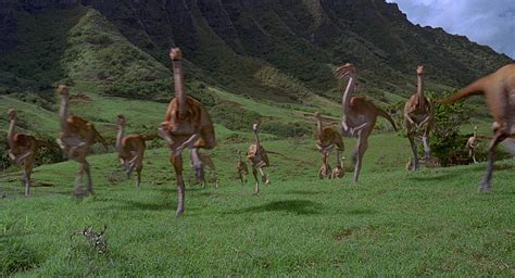 Gallimimus flocking scene | Jurassic Park wiki | FANDOM powered by Wikia