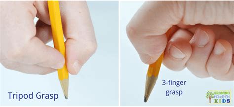 Pencil Grasp Development: The Tripod Grasp