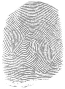 Forensics Study and Analysis: Basic Fingerprint Patterns