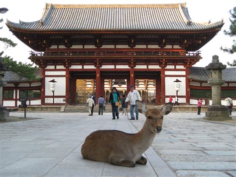 Nara – The Ancient Beginnings of Japan | Skyewalkers | Japanese ...