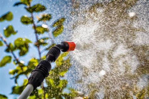 Get Ready to Spray: Discover the Different Types of Sprayers – Home Bounties