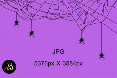 Spiderweb on Purple Background Graphic by Rassamee Design · Creative Fabrica