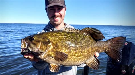 5 Best Fall Smallmouth Bass Lures – Hookset.co