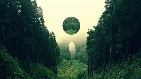 HD wallpaper: forest, landscape, nature, abstract, digital art, circle | Wallpaper Flare