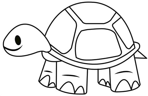 Tortoise Drawing at PaintingValley.com | Explore collection of Tortoise Drawing