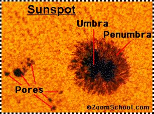 Sunspots - Enchanted Learning Software